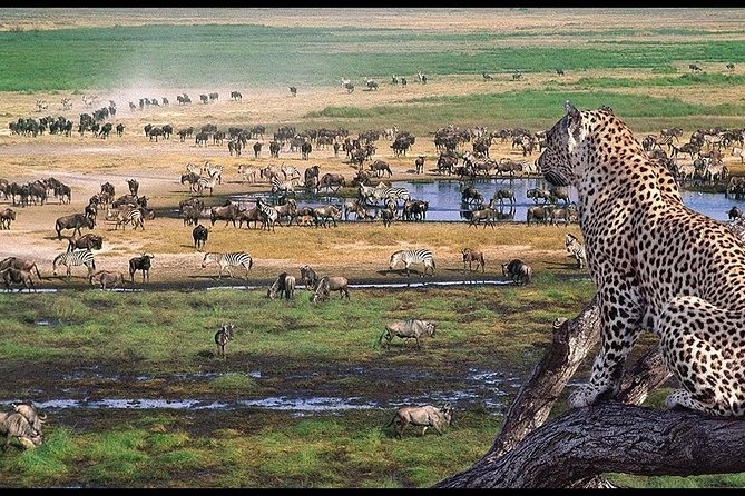 6 Days Serengeti Safari(hiking waterfalls &coffee tour) - Day 6: Materuni Waterfalls and a Chagga village walk