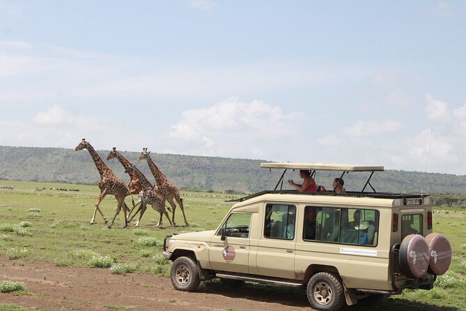 6 Days Serengeti Safari(hiking waterfalls &coffee tour) - Day 2: From Mto wa Mbu through Ngorongoro to the Serengeti
