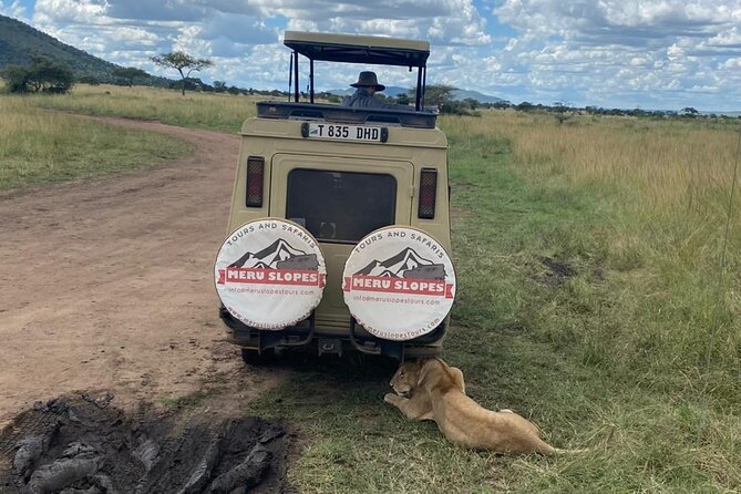 6 Days Tanzania Budget Camping Safari with Migration - Day 1: Tarangire’s elephants and baobab trees
