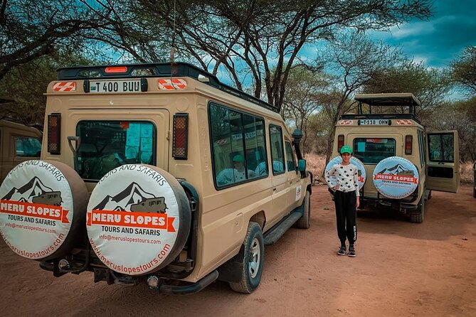 6 Days Tanzania Budget Camping Safari with Migration - Days 3 and 4: Following the wildebeest in Serengeti