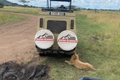 6 Days Tanzania Budget Camping Safari with Migration