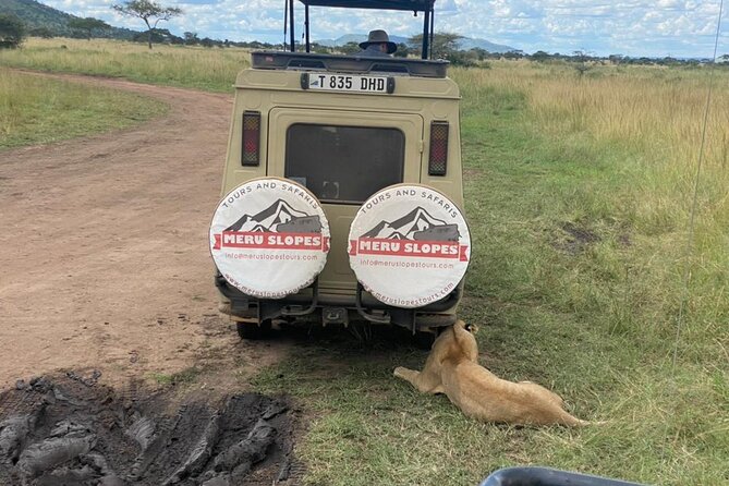 6 Days Tanzania Budget Camping Safari with Migration - Day 2: The long approach to Serengeti