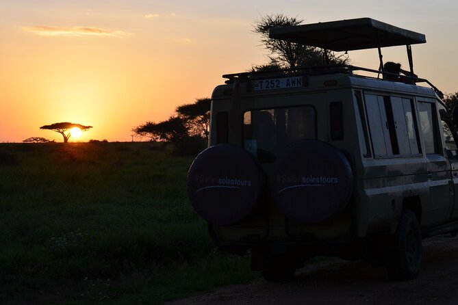 6 days Tanzania budget safari - Day 3: A full day in the Serengeti
