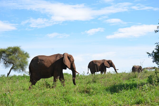 6 days Tanzania budget safari - Camping, meals, and life on the road