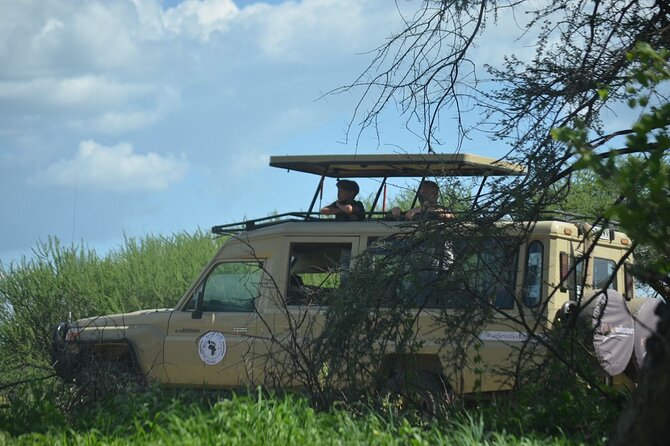 6 days Tanzania budget safari - Day 2: Ngorongoro views, Maasai culture, and the Serengeti sunset