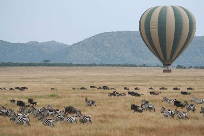 6 Days Tanzania Classic Safari - Why this northern Tanzania route works