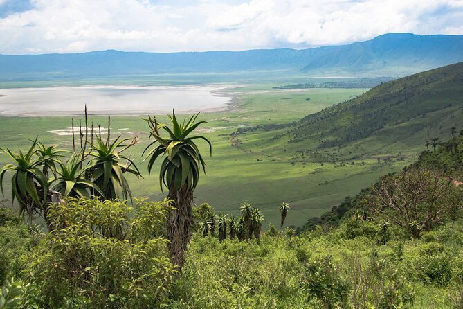 6 Days Tanzania Classic Safari - Lodging, meals, and comfort