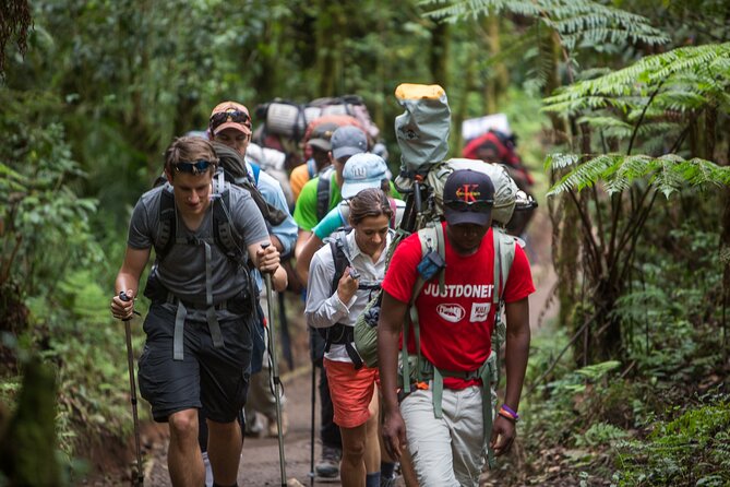 7-Day Machame Kilimanjaro Summit Tour from Arusha - Day 5: Karanga to Kosovo Camp