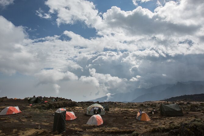 7-Day Machame Kilimanjaro Summit Tour from Arusha - Day 6: Stella Point, Uhuru Peak, and the long descent