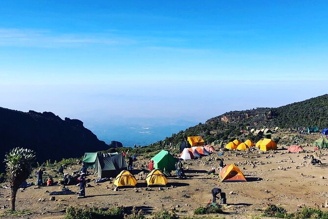7-Day Machame Route Kilimajaro - Key points to know before booking