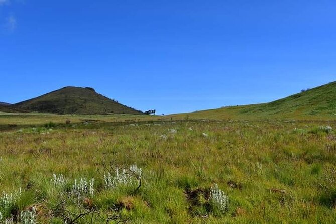 7-Day Machame Route Kilimajaro - Lava Tower and Barranco Valley on Day 3