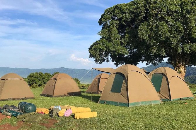 7 days great migration safari - Day five: from Serengeti to the Ngorongoro rim