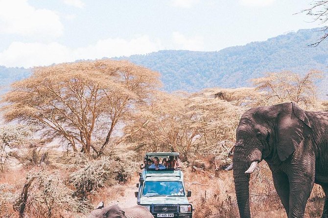 7 days great migration safari - Day seven: Lake Eyasi and a different kind of safari