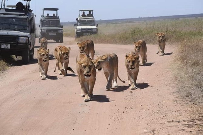 7 days great migration safari - Accommodation, meals, and what the price covers