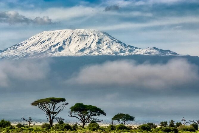7 Days Kilimanjaro via Machame route affordable price - Machame Route scenery, pace, and value