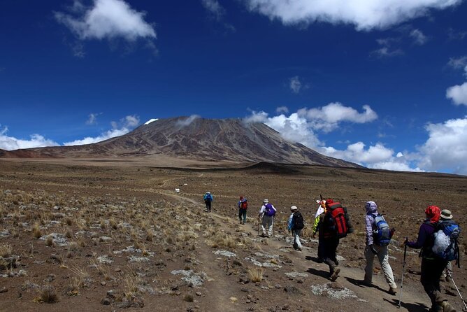 7 Days Kilimanjaro via Machame route affordable price - Day 5: The midnight climb to Uhuru Peak