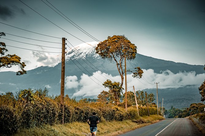 7 Days Machame route - Kilimanjaro - Day 7: Mweka Gate and the return to comfort