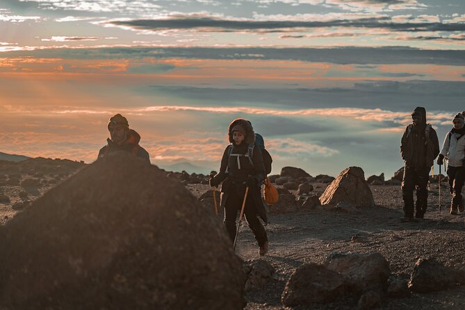 7 Days Machame route - Kilimanjaro - Day 1: Chagga farms and Machame Camp