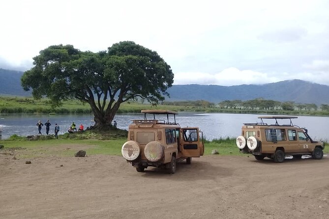 7 Days Tanzania Mid-range lodge safari - A strong northern Tanzania route, with one big paperwork problem