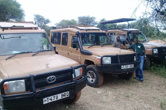 7 Days Tanzania Mid-range lodge safari - Day 2: A flexible second look at Manyara