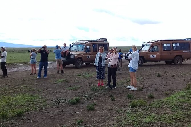 7 Days Tanzania Mid-range lodge safari - Day 5: Return to Arusha and departure preparation