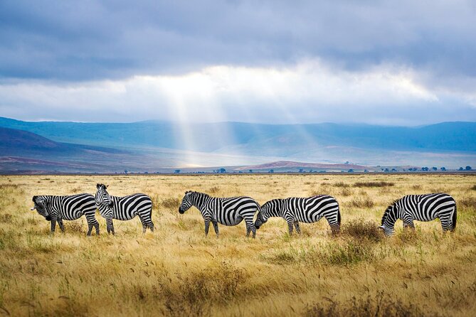8-Day Essence of Tanzania Safari - Luxury - Day 8: Hadzabe culture before the return to Arusha