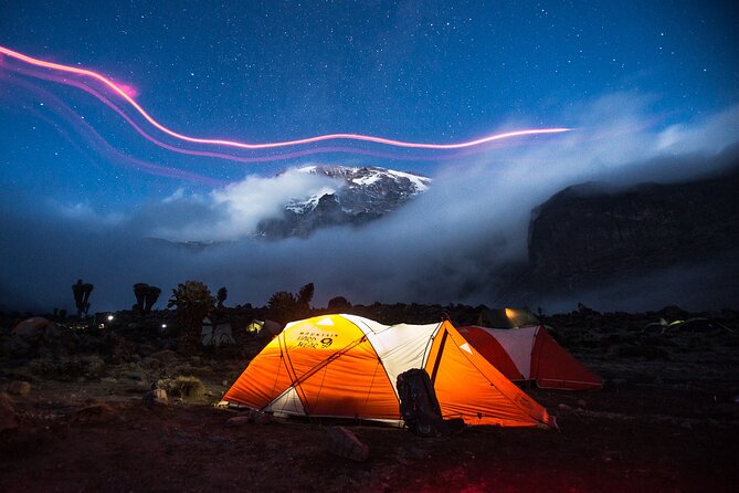 8-Day Small-group Lemosho Kilimanjaro Summit Trekking - Day 1: Mti Mkubwa Camp and the first rainforest miles