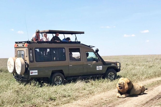 8 Day Spectacular Migration Serengeti mid -Range Tanzania Safari - Why this eight-day route works