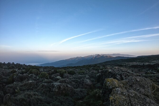 8 Days Climbing Mt.Kilimanjaro (Lemosho Route) - Day 2: Mti Mkubwa to Shira 1 Camp