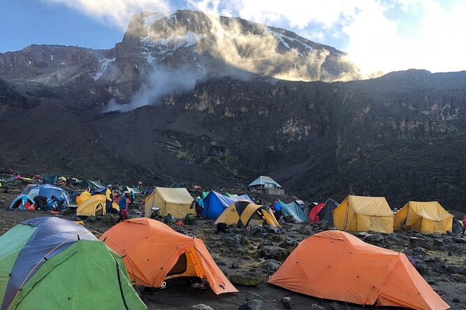 8 Days Kilimanjaro Hike via Lemosho Route - Day 3: Shira 2 and a useful acclimatization walk