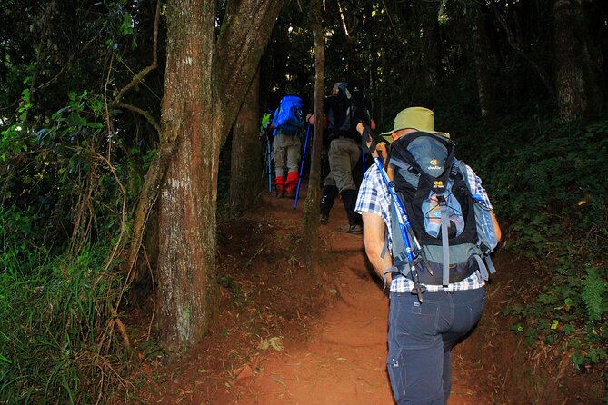 8 Days Mountain Kilimanjaro Lemosho Route - Why the Lemosho route earns eight days
