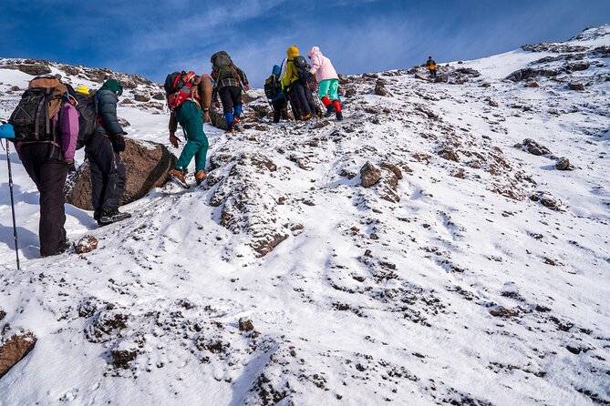 8 Days Mountain Kilimanjaro Lemosho Route - Day 7: Uhuru Peak and the long descent