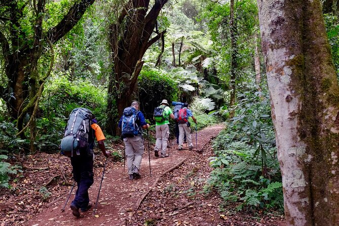 8 Days Mountain Kilimanjaro Lemosho Route - Day 2: Shira Ridge and the first view of Kibo