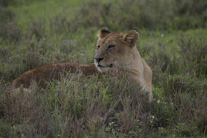 9-Day Enchanting Tanzania Safari -High End All Inclusive - Day 6: A rim walk before the Serengeti