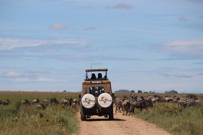 9-Day Serengeti Migration Footsteps Tanzania Safari - Day 8: A full day inside Ngorongoro Crater