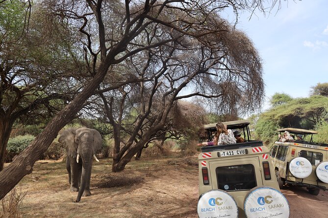Arusha: 5 days Safari Trip Tarangire, Lake Manyara and Ngorongoro - Day five: Returning to Arusha