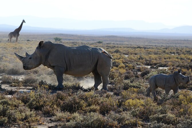 Arusha: 5 days Safari Trip Tarangire, Lake Manyara and Ngorongoro - The guide can make or break the experience