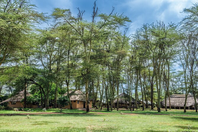 Arusha: 5 days Safari Trip Tarangire, Lake Manyara and Ngorongoro - Day one: Arusha to Tarangire’s elephant country