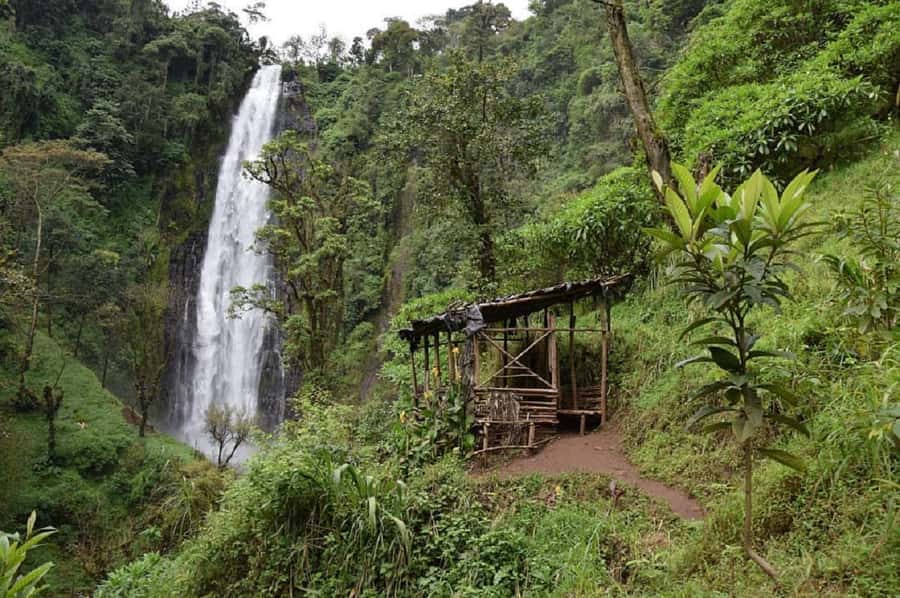 Arusha: Materuni Waterfalls, Coffee, and Hotsprings Tour - Key points to know before booking