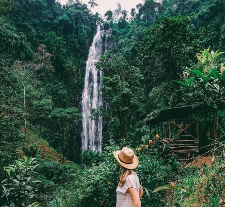 Arusha: Materuni Waterfalls, Coffee, and Hotsprings Tour - A full day built around three strong stops