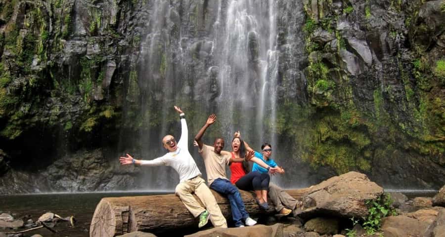 Arusha: Materuni Waterfalls, Coffee, and Hotsprings Tour - Who should book this day