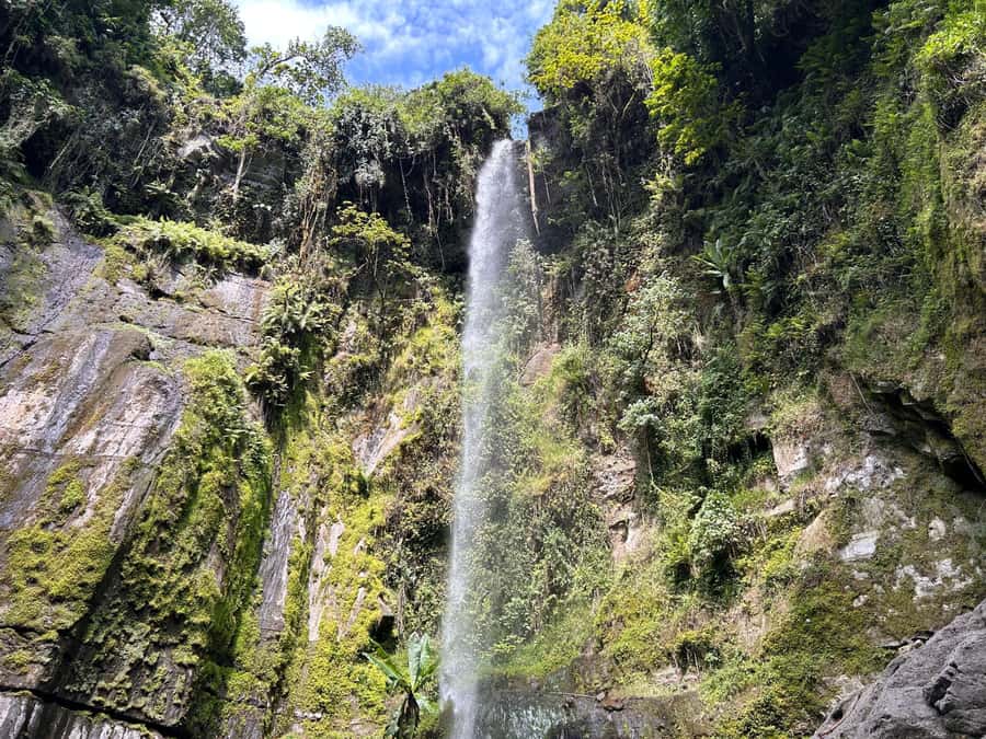 Arusha: Napuru Waterfalls Guided Hike - Key points at a glance