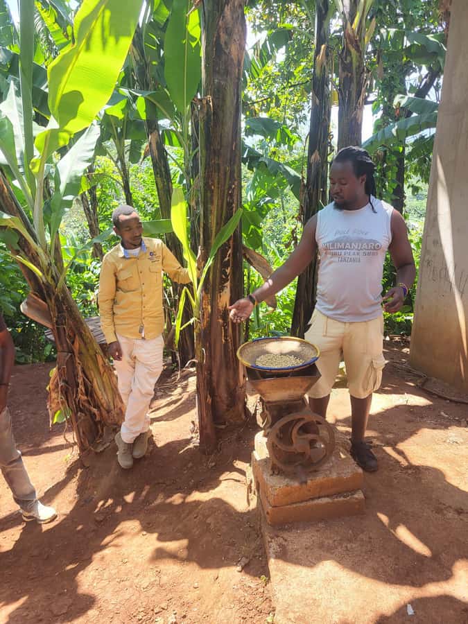 Arusha or Moshi : Hot Spring, Waterfall & Coffee Farm Tour - The coffee farm and the Chagga connection
