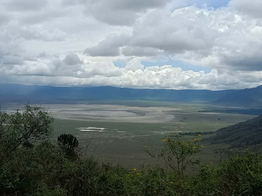 Arusha: Serengeti and Ngorongoro Multi-Day Camping Safari - Day 4: Down into Ngorongoro Crater