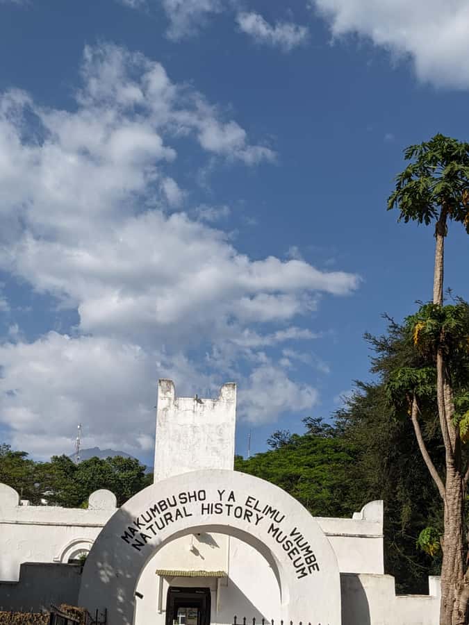 Arusha; Walking City Tour History, Culture & Lifestyle - The Central Food Market is the best window into daily life