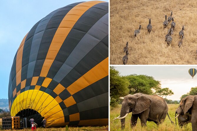 Balloon Safari & Bush Breakfast in Tarangire - Miracle Experience - Key details before you book
