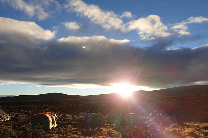 Best Kilimanjaro Adventure 7 days Machame route Trekking - Day 3: Shira, Lava Tower, and Barranco