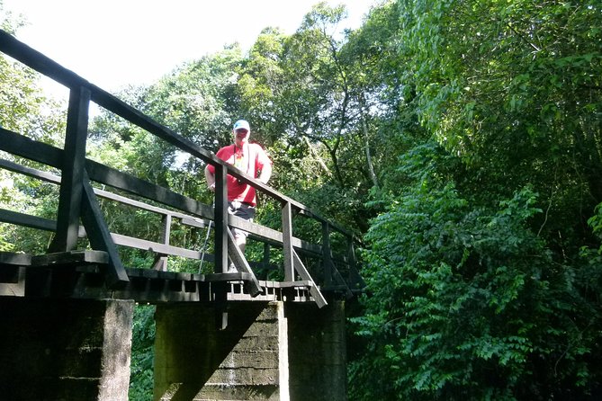 Best Kilimanjaro hiking day trip tour with Kilinge Adventures - From Moshi to Marangu Gate in one scenic hour