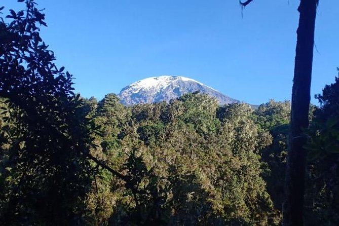 Best Kilimanjaro hiking day trip tour with Kilinge Adventures - The first climb, from 1,800 to 2,743 metres