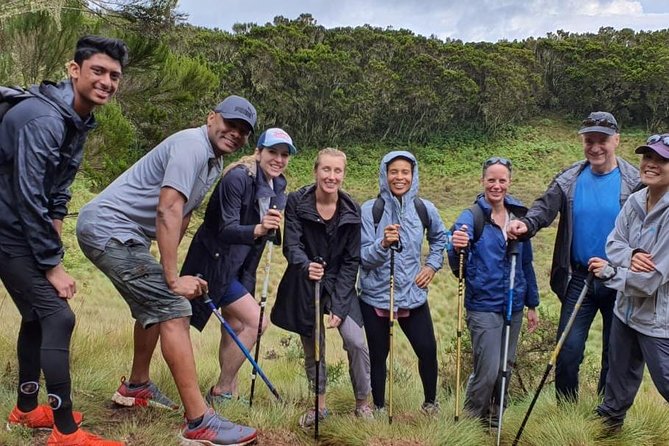 Best Kilimanjaro hiking day trip tour with Kilinge Adventures - Rainforest wildlife, birds, and the chance of monkeys